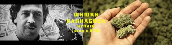 МДПВ Ельня