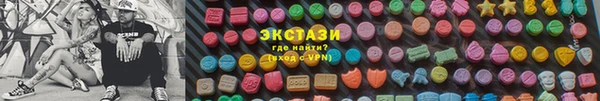 МДПВ Ельня
