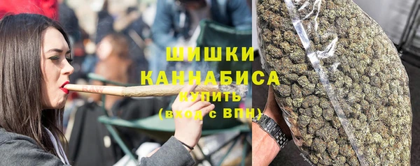 МДПВ Ельня