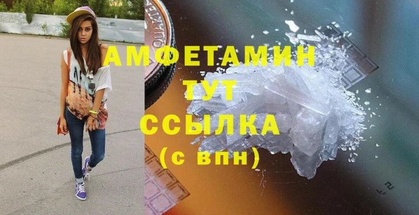МДПВ Ельня