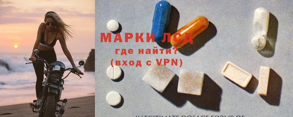 МДПВ Ельня
