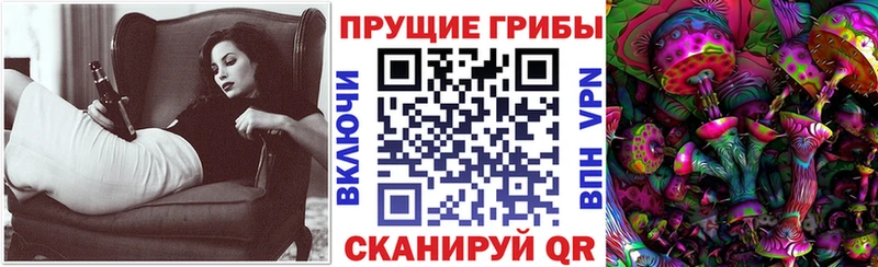 Купить  Зима  Псилоцибиновые грибы мухоморы 